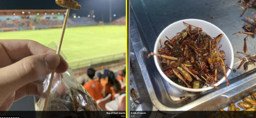 Image: Matchup from Scrandle. Bag of fried insects vs tub of insects.